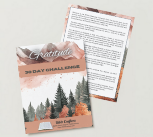 Gratitude 30 Day Challenge