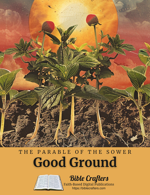 Parable of the Sower Decvotional Journal